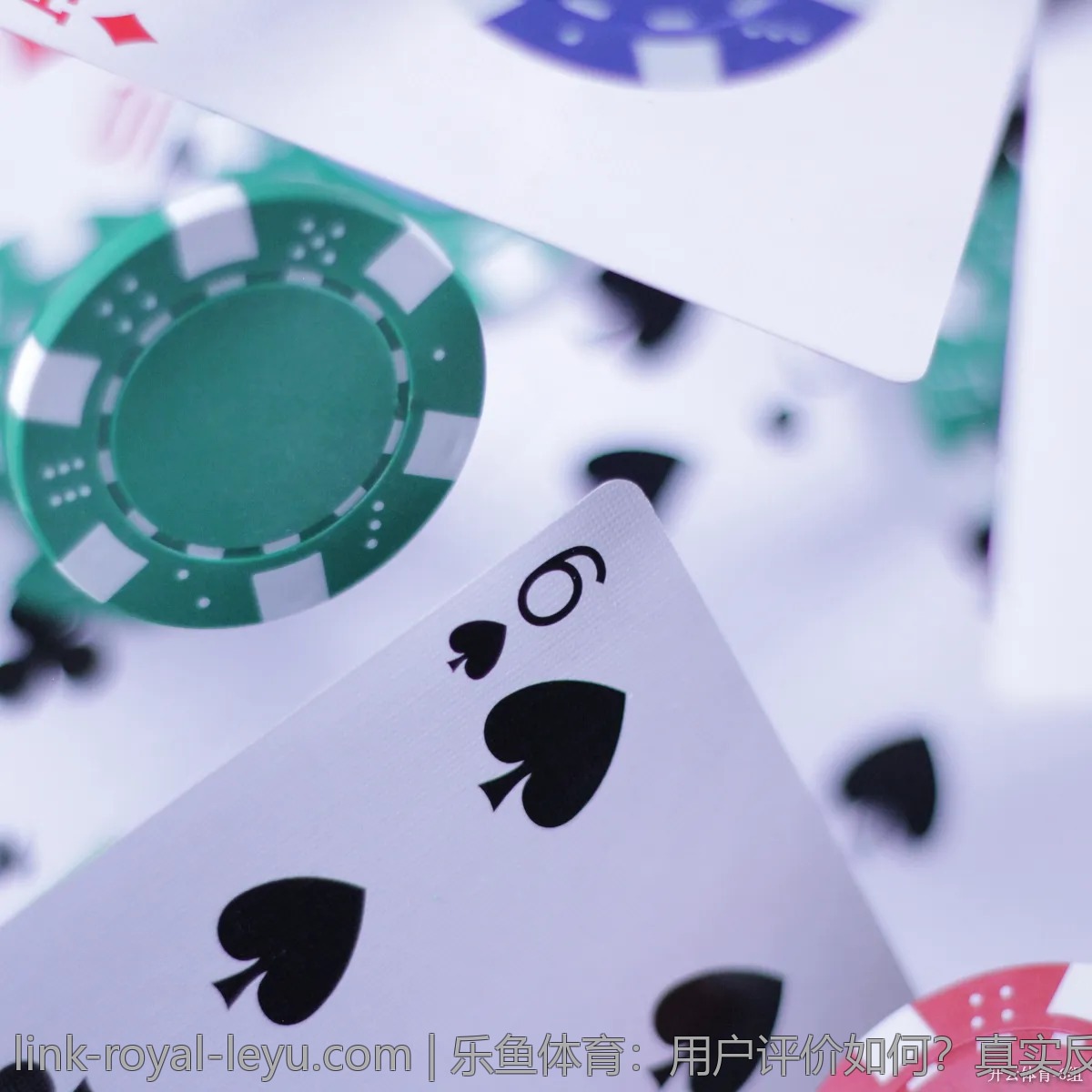 乐鱼体育:用户评价如何?真实反馈一览