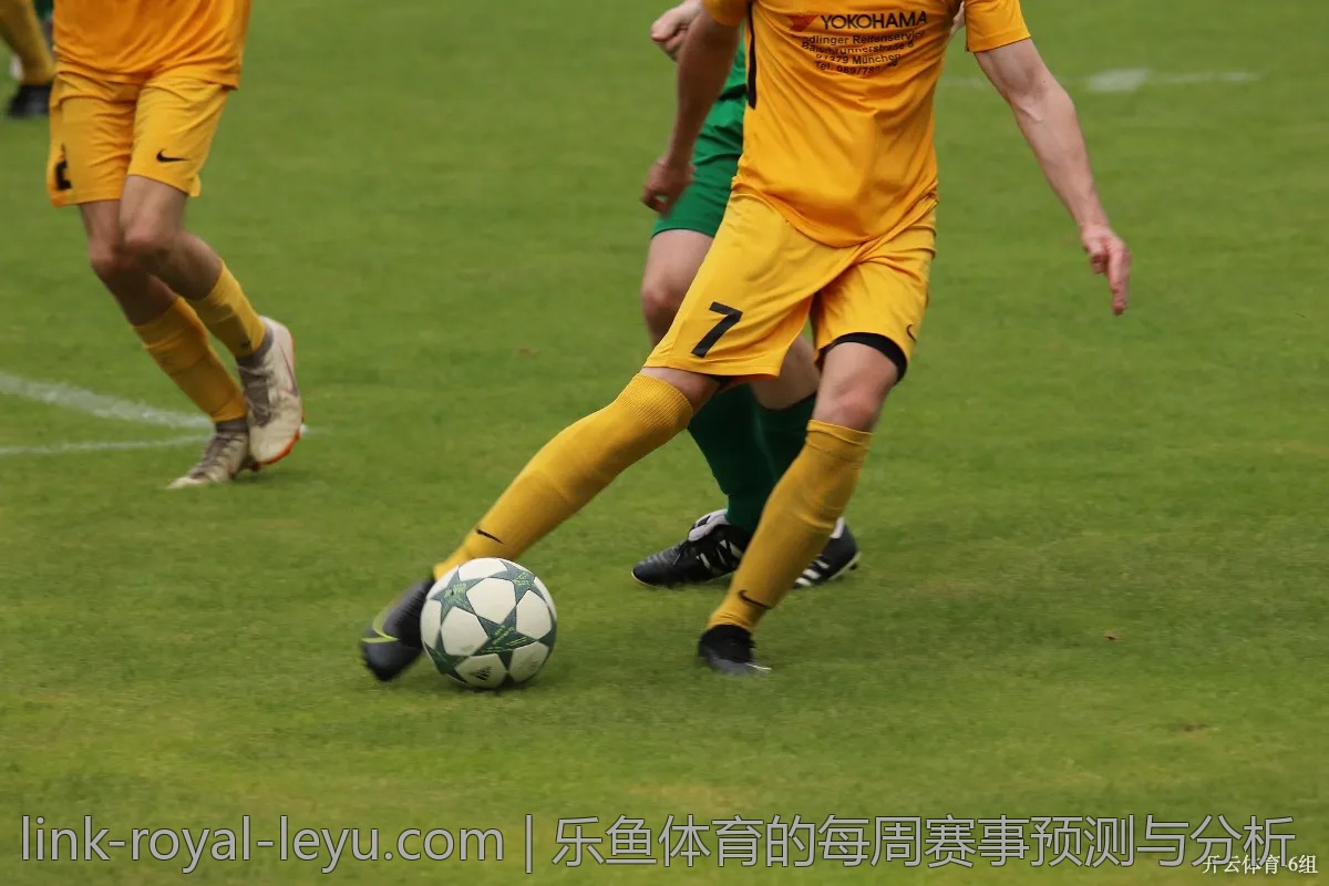 乐鱼体育的每周赛事预测与分析