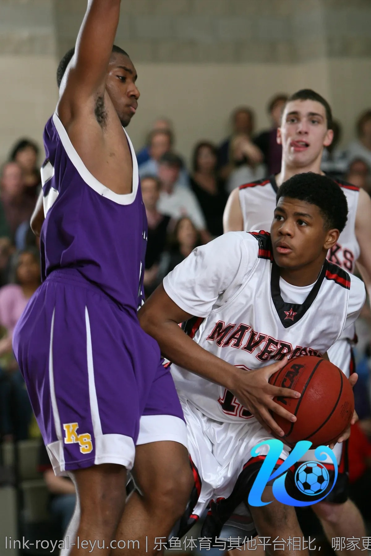 热议乐鱼体育app,新功能能否提升用户体验?