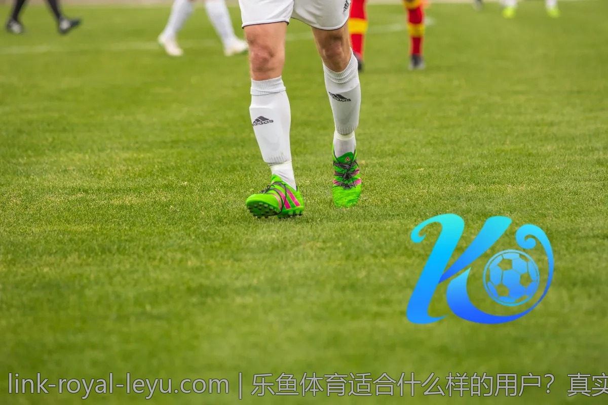 乐鱼体育适合什么样的用户?真实评测分享