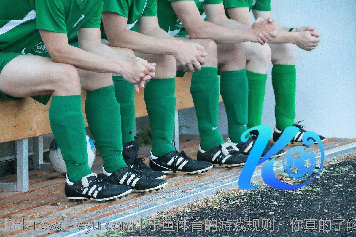 乐鱼体育的游戏规则,你真的了解吗?